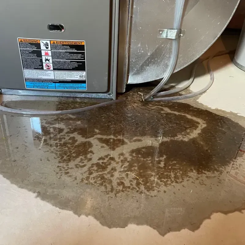 Appliance Leak Cleanup in Hunt County, TX